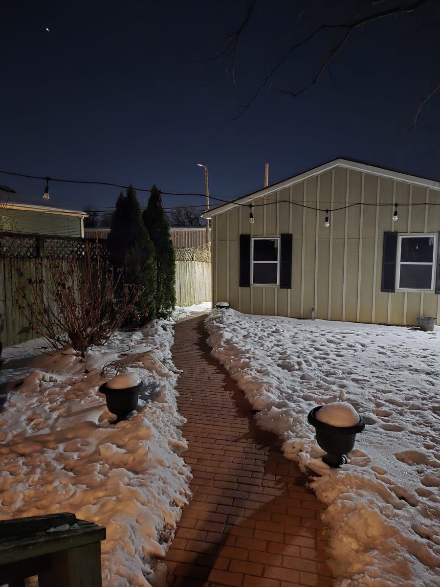 Snow (Jan 21, 2025 at 8_55 PM)(4)