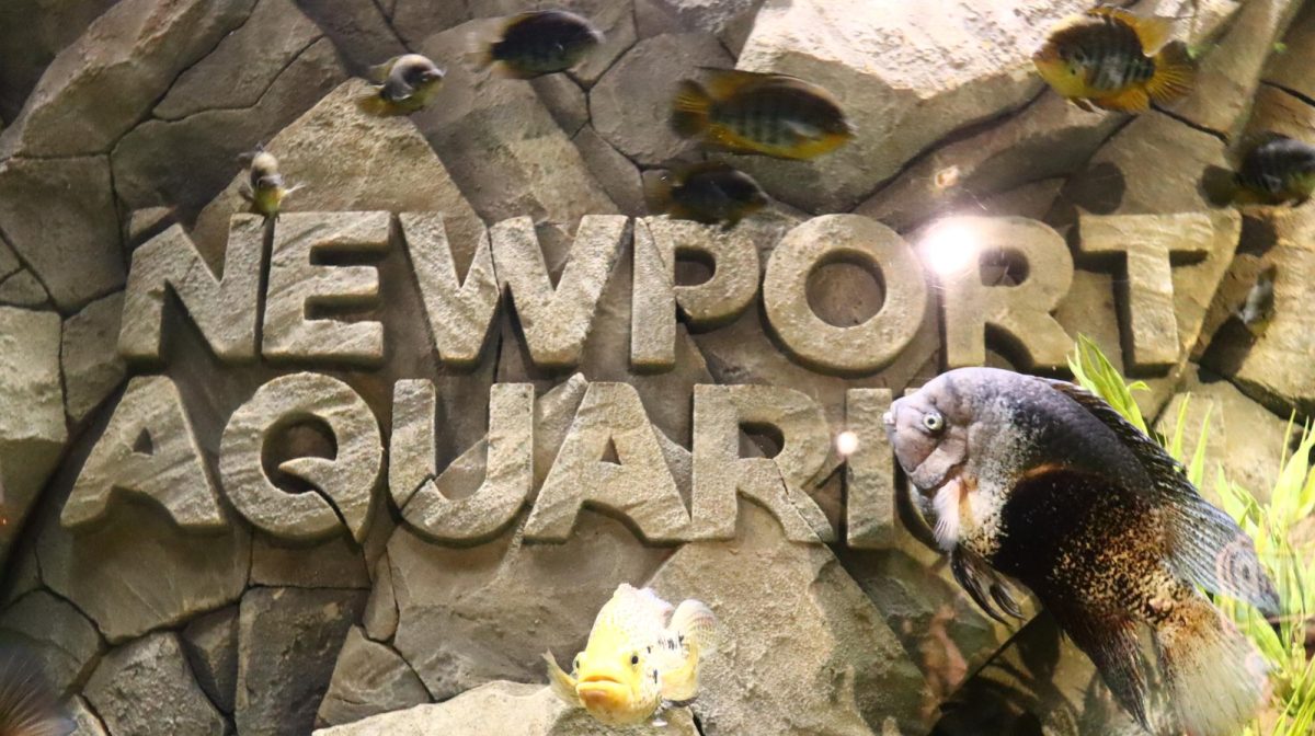 Marine Biology Students Visit Newport Aquarium
