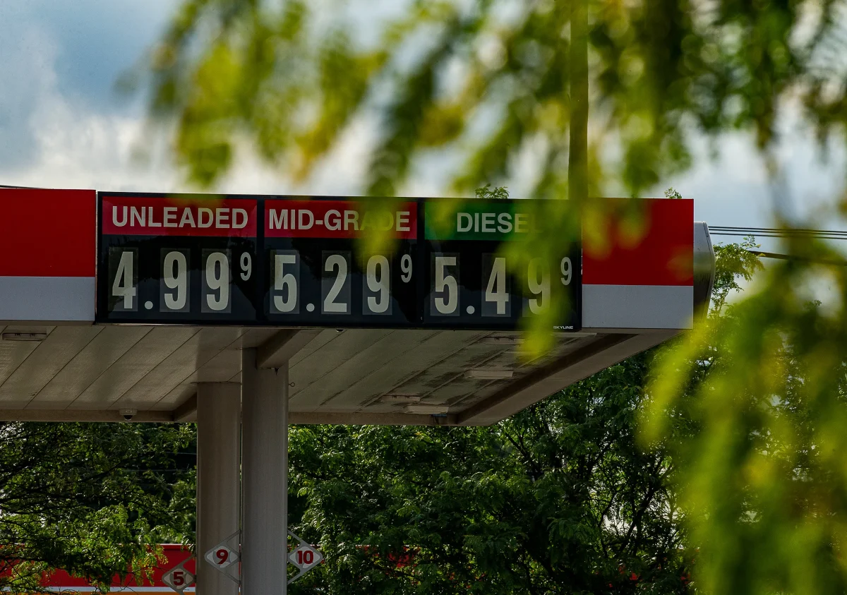 Feigning for Fuel: Ravens Share Strategies to Deal with High Gas Prices